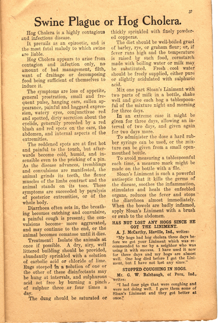 sloans farm and home journal vol 1 no 4 1909 039 page 37