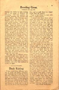 sloans farm and home journal vol 1 no 4 1909 021 page 19