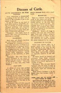 sloans farm and home journal vol 1 no 4 1909 034 page 32