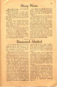 sloans farm and home journal vol 1 no 4 1909 037 page 35