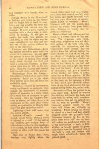 sloans farm and home journal vol 1 no 4 1909 042 page 40