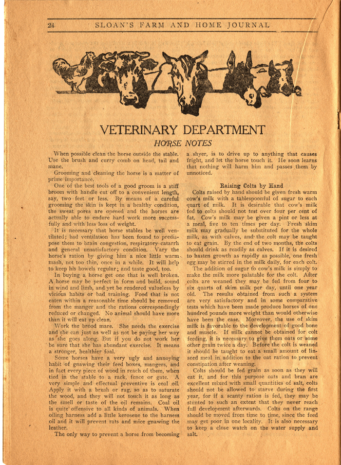 sloans farm and home journal vol 1 no 6 1910 026 page 24
