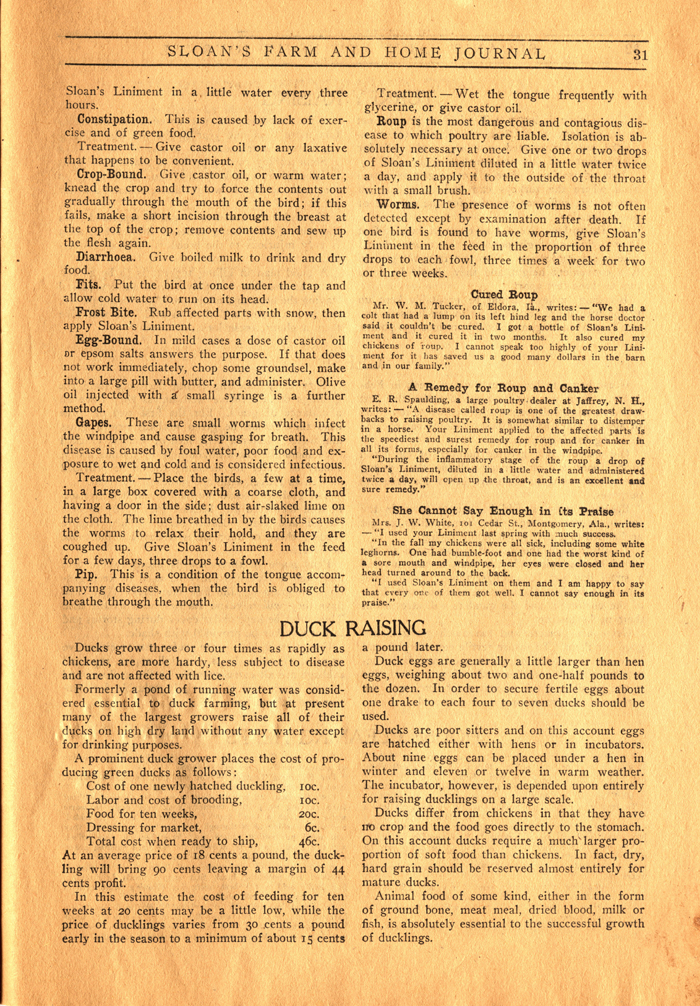 sloans farm and home journal vol 1 no 6 1910 033 page 31