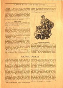 sloans farm and home journal vol 1 no 6 1910 011 page 09