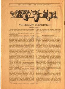 sloans farm and home journal vol 1 no 6 1910 026 page 24