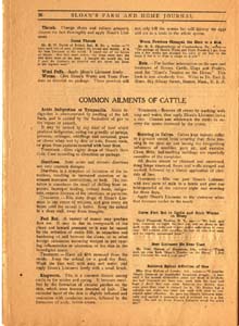sloans farm and home journal vol 1 no 6 1910 028 page 26
