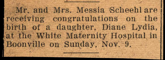 scheehl diane lydia born to mr and mrs messia scheehl november 9 1947