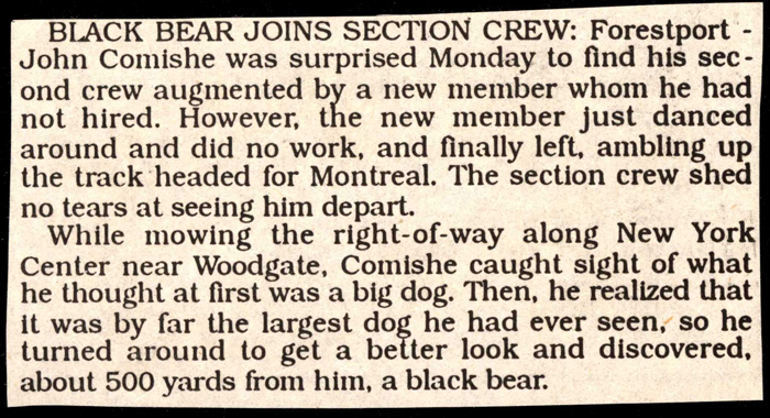 john comishe and section crew sight black bear near woodgate 1952