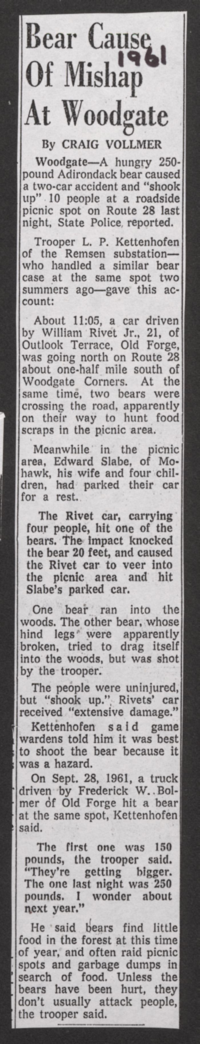 bear cause of mishap at woodgate