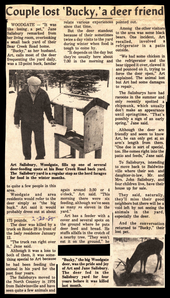 salisburys lose bucky a deer friend february 20 1985