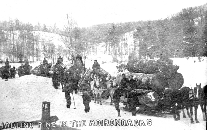 011b fallon collection hauling pine in the adirondacks