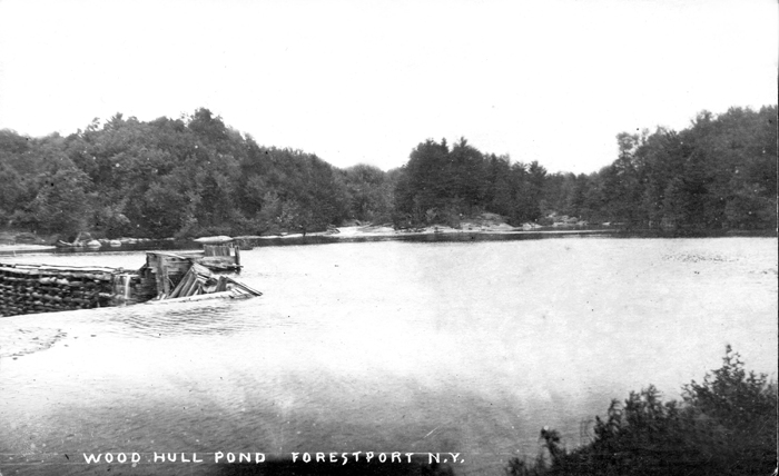 019 fallon collection forestport ny woodhull pond
