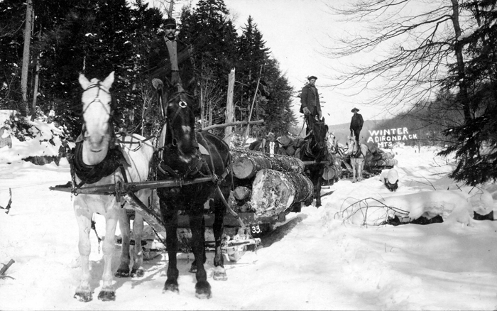 034b fallon collection adirondack logging