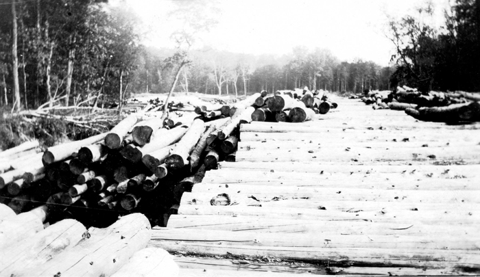 034c fallon collection adirondack logging