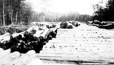 034c fallon collection adirondack logging