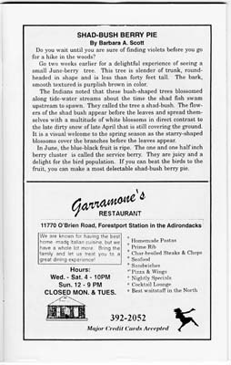 adirondack trail guide 2004 edition page 010